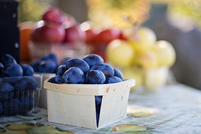 ãã®ç»åã«ã¯ alt å±æ§ãæå®ããã¦ãããããã¡ã¤ã«åã¯ fruit-1004887_640.jpg ã§ã